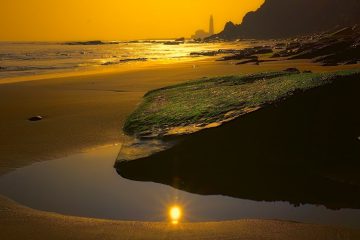 Mossy Rock on a Beach